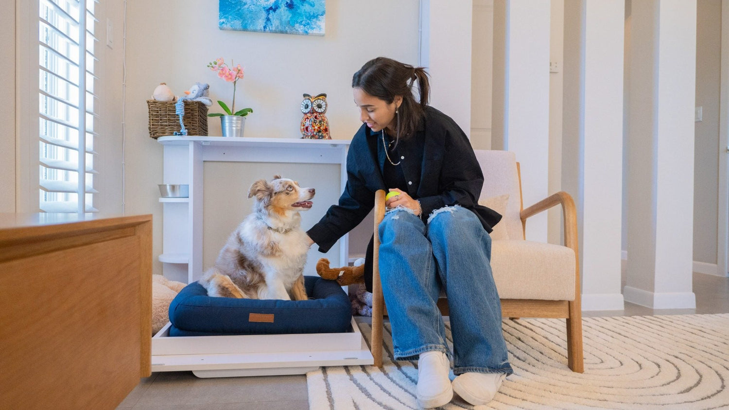 Fur-Friendly Workspaces: Creating a Pet-Friendly Office Setup