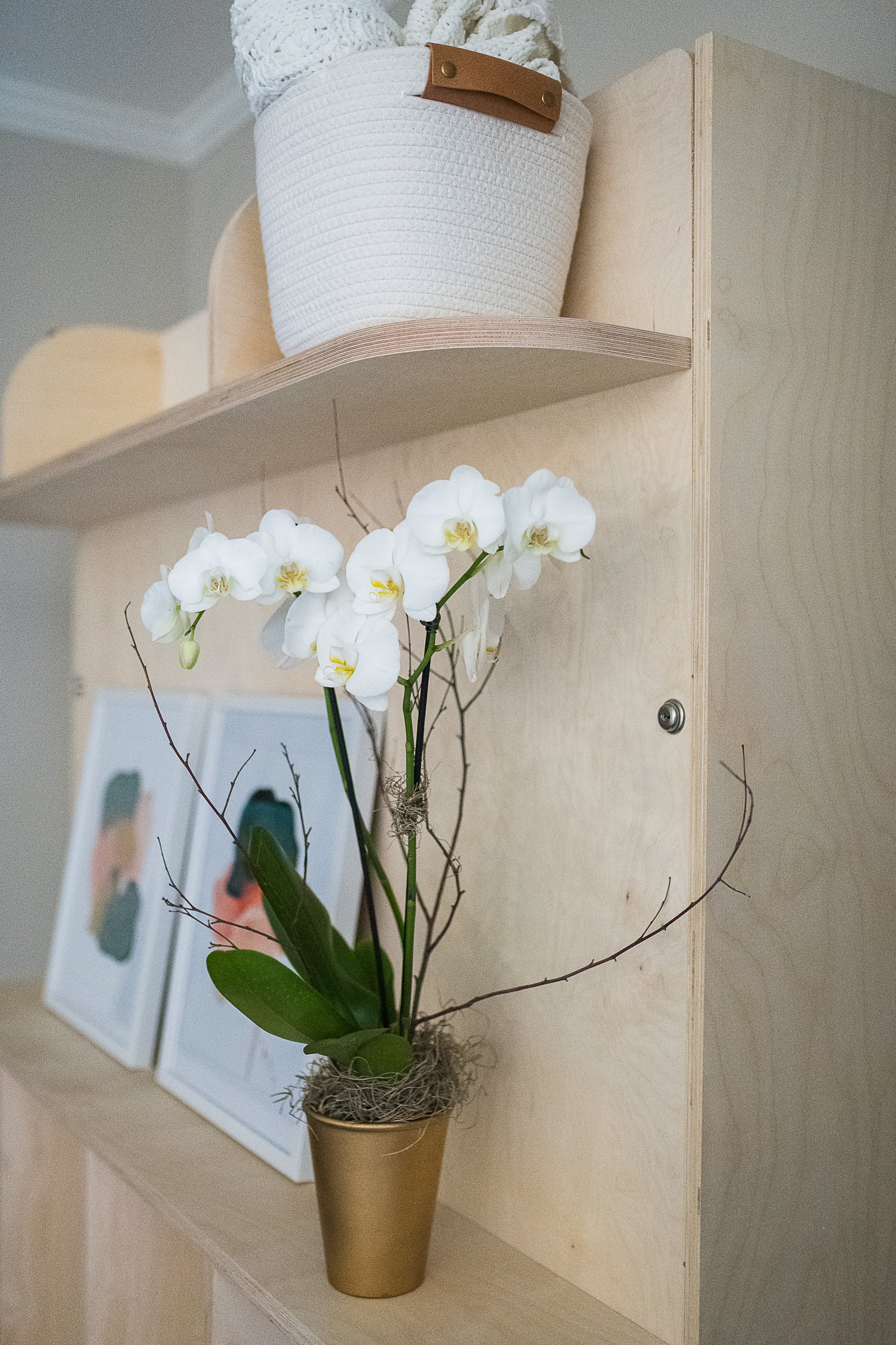 Closed vertical murphy bed with flowers on the shelf