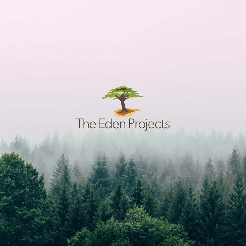 Cloudy forest and The Eden Projects logo