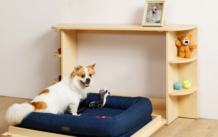 Dog murphy bed for sale online